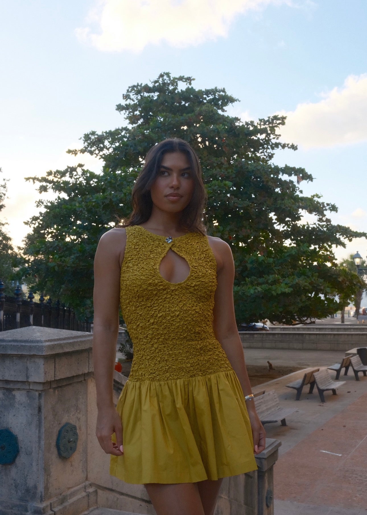 solei dress