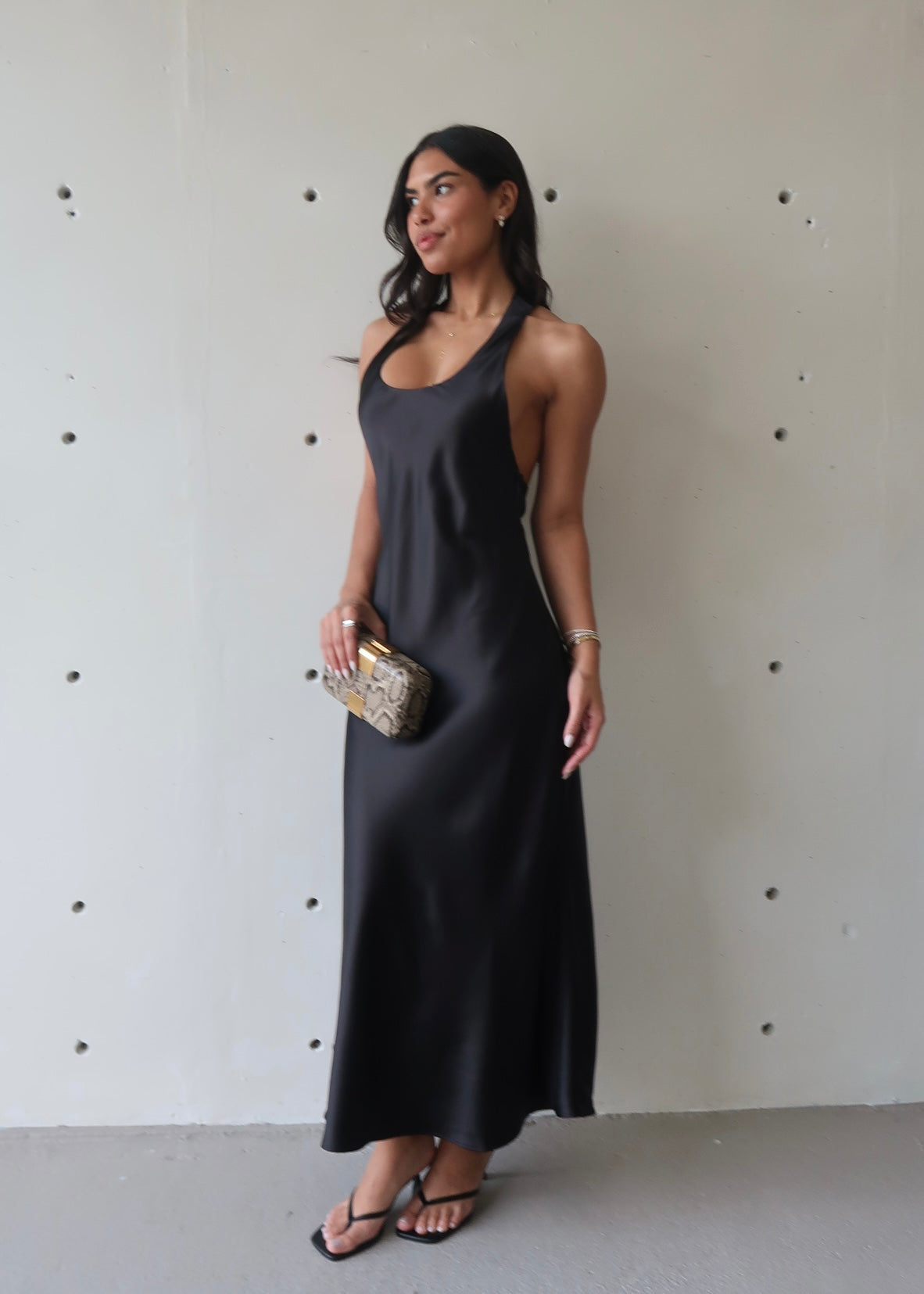 Amika Silk Dress